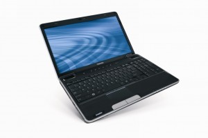 www.toshibalatino.com