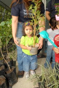 Actividades de los voluntarios de Telefónica