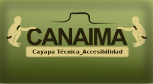 cayapa_tecnica_accesibilidad