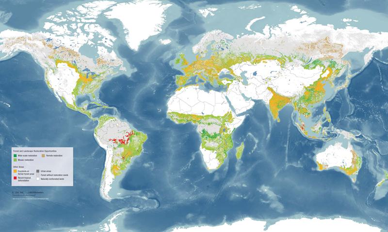 Global restoration opportunity map