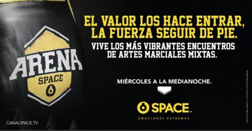 Space Arena