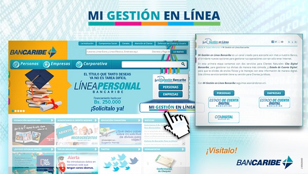 Mi Gestion En Linea