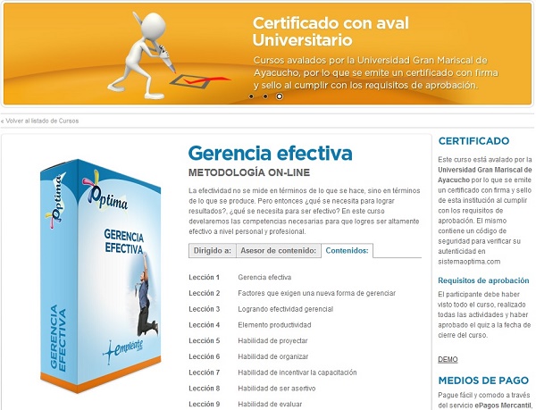 Contenido del taller On-line Gerencia Efectiva