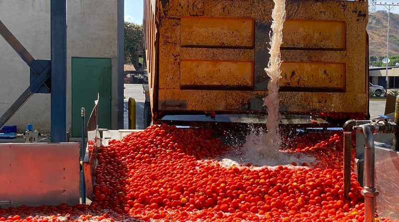 Tomate Alimentos Heinz